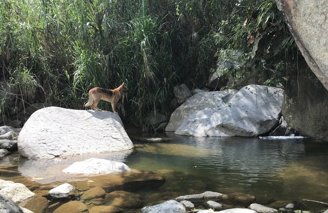 Escapada al País Andino