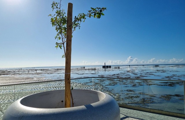 Apartamento na Ponta Verde, WiFi Rápida e Piscina no topo