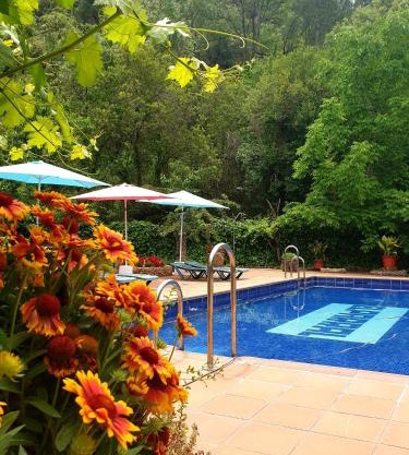 Apartamentos El Parral