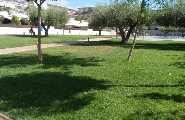 Apartamento en ALCANAR PLATJA, Costa Daurada, España