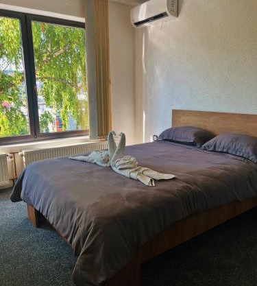 Apartman Alinac
