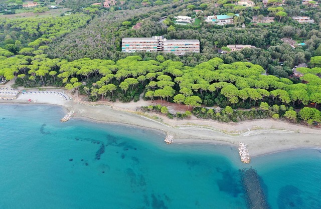 Apartamento a pocos metros de la playa, rodeado de vegetación.