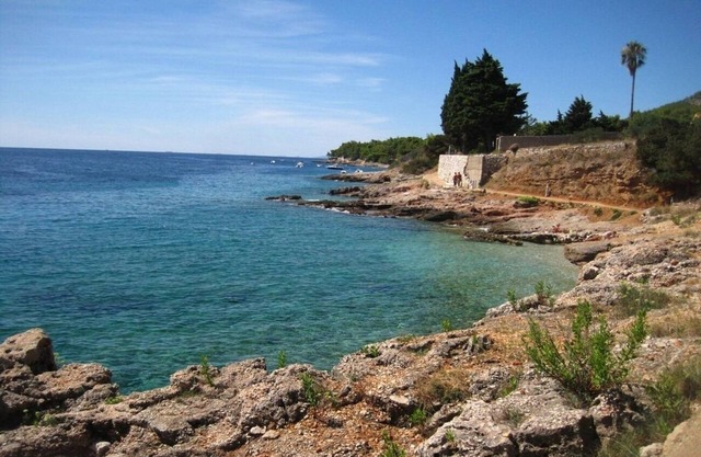 Apartment 4570 A3 (4 + 1) - Zavala, Isla Hvar, Croacia