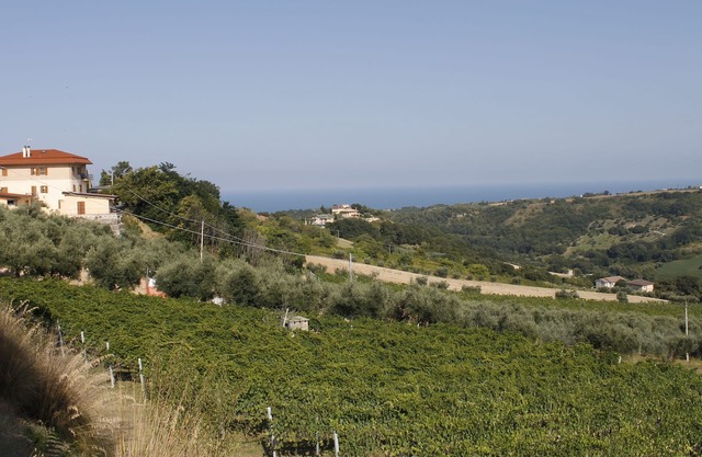Apartamento entre viñedos y mar.