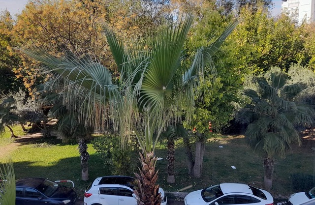 Apartment close to the sea in themostcentralofcity