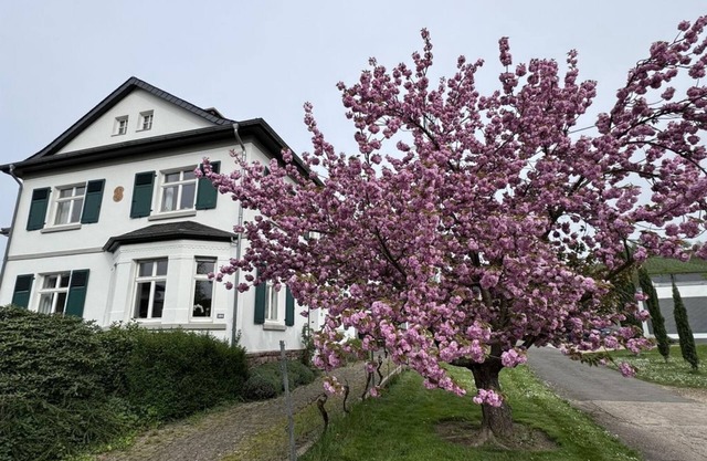 Apartment Im Kelterhaus - Apartamento