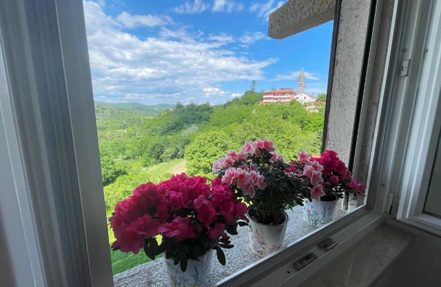 Apartment Kaštel