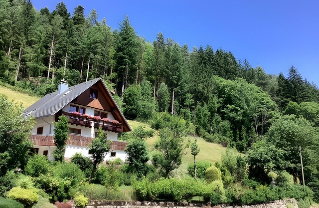 Apartamento 'Vivir en la naturaleza' con vistas a la montaña, balcón y wifi