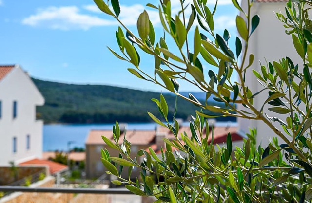 Apartment Perlitto