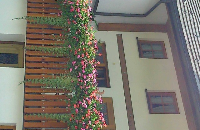 Apartamento amarillo - Haus Rosenhof
