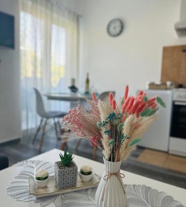 Apartments Tijana