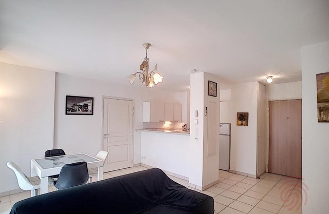 Appartement F2 avec terrasse, clim, parking privé, proche centre-ville et thermes, animaux acceptés - FR-1-451-135