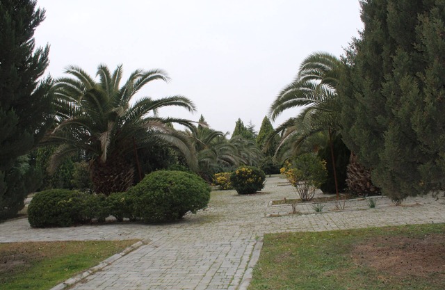 Arena Hotel Agdash