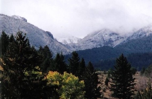 Aspen Cabin cerca de Yellowstone - paseos a caballo, tirolesa, rafting, senderismo