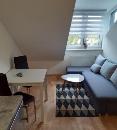 Attic rooms at Laisves avenue
