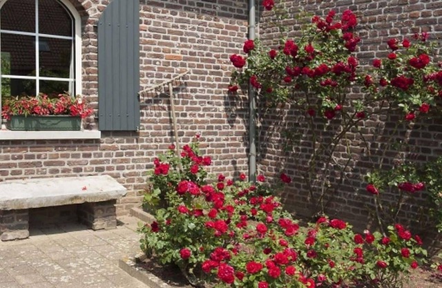 Auténtica casa de vacaciones en Baarlo con terraza privada