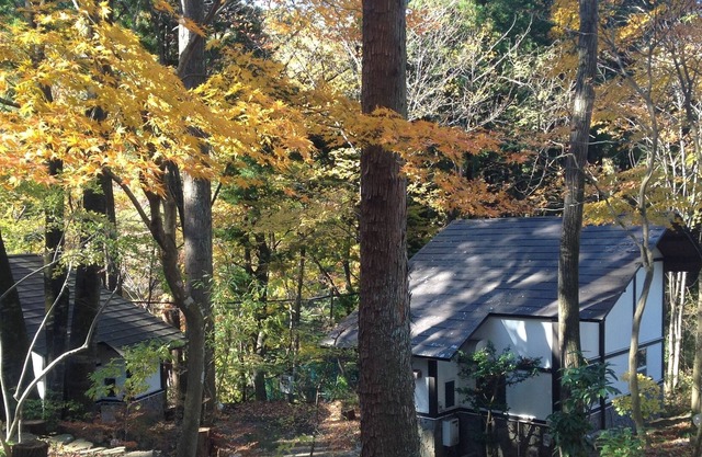 Caza de hojas de otoño base Base de turismo de Nikko ♪ ¡Se puede llegar a una cabaña de la estación en tren!100 minutos en expreso limitado desde Kitasenju ♪ 4 minutos a pie desde la estación ♪ Hay mucha naturaleza cerca de la estación.Kinugawa Onsen e...