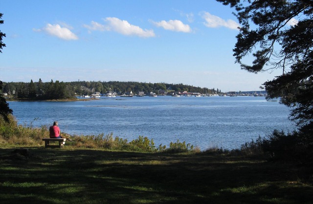 Bass Harbor Oceanfront Chalet: tranquilo, privado, gran vista al mar