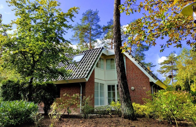 Holiday Villa Veluwe