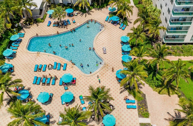Beautiful Apartment in Hollywood Beach