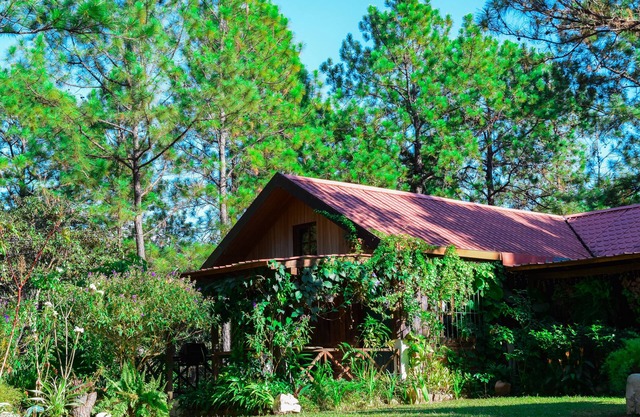 Hermosa cabaña en un bosque increíble en Perquin