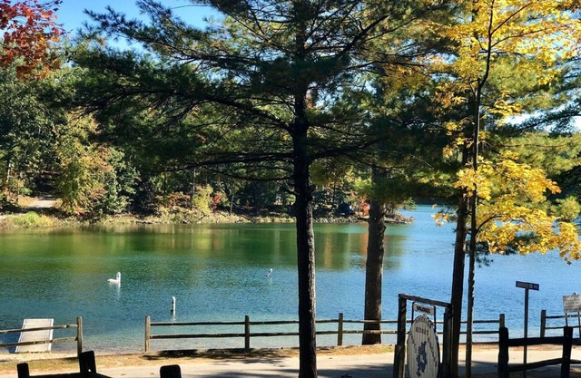 Hermosa cabaña en el lago Arbutus, Traverse City, MI 49696