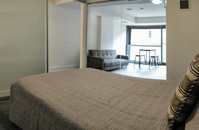 Beautiful Furnished Condo next to College Subway Station