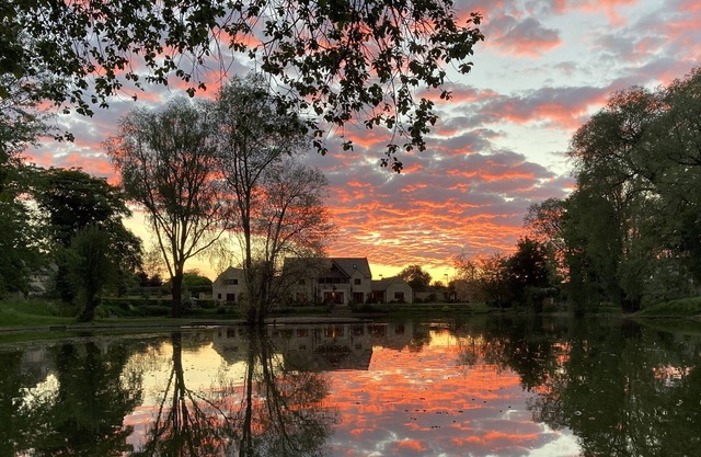 Hermosa vista del lago