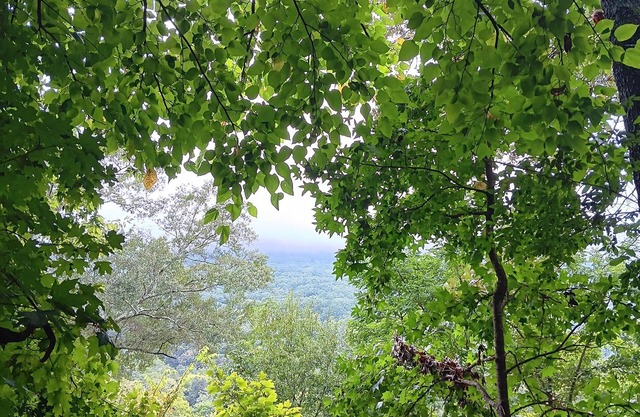 Beautiful Lookout Mountain view in Chattanooga /ev charger/SAUNA/Hot Tub