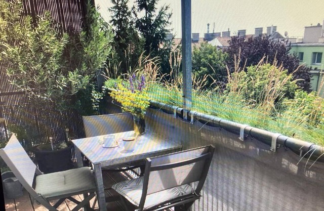 Beautiful Rooftop With Gorgeous View and Balcony