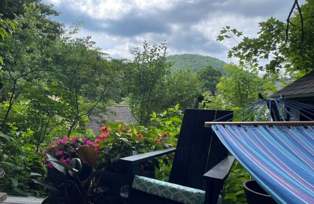 Beautifully landscaped 3-bedroom/2 bath house in the scenic Village of Delhi, NY