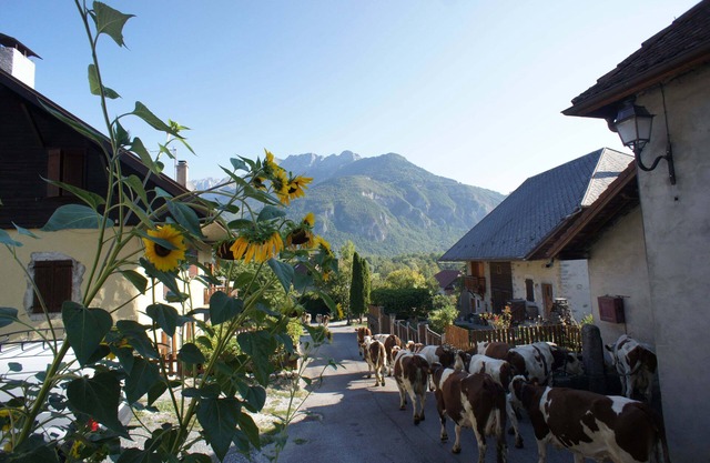 Hermosa casa de campo convertida cerca del lago de Annecy y las montañas