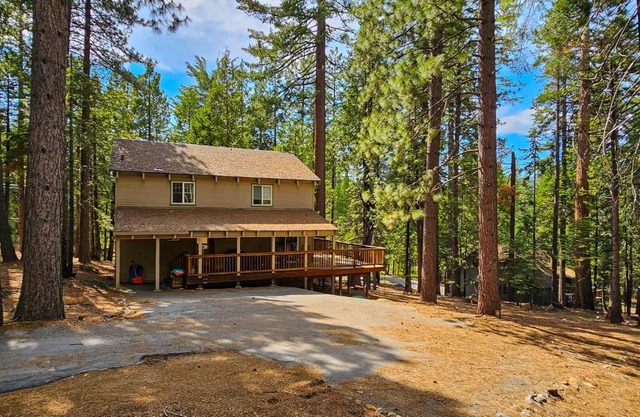 Bigfoot Cabin