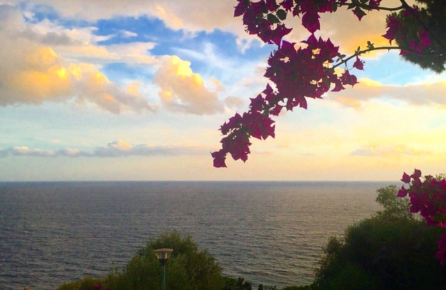 Bluehorizon