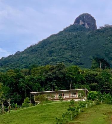 Bosque Místico