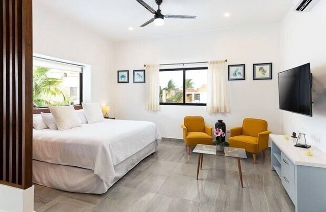 Nuevo Estudio en el CorazÃ³n de Cozumel