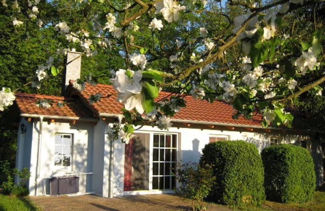 Bungalow 'Am Haussee' con vistas al lago, terraza privada y Wi-Fi