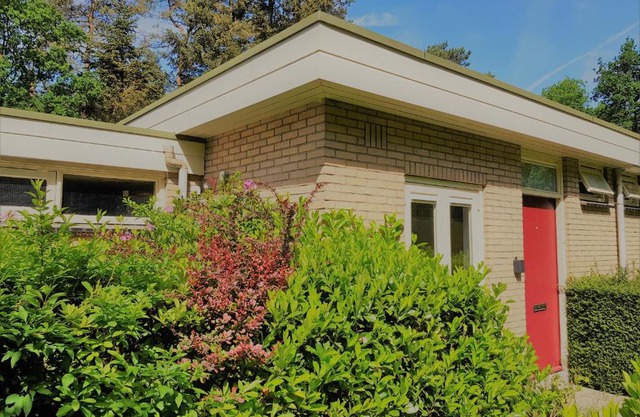 Bungalow Hartje Veluwe