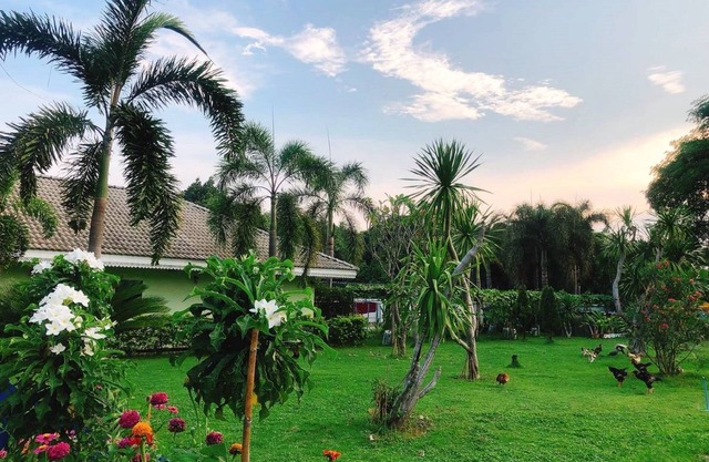Bypass and Resort