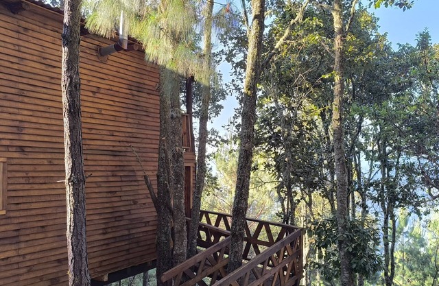 Cabaña en el Bosque de San José del Pacífico 5