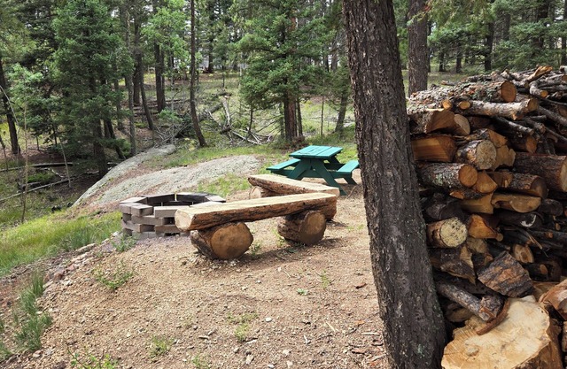 Cabin is 1 min from National Forest! Atv and hiking trails accessible.
