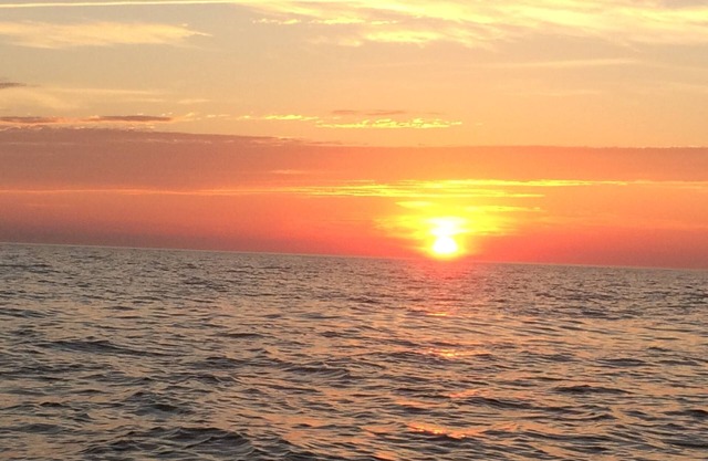 Cape May Bayside Sunset Views! Uso gratuito de etiquetas de playa y etiquetas de piscina.