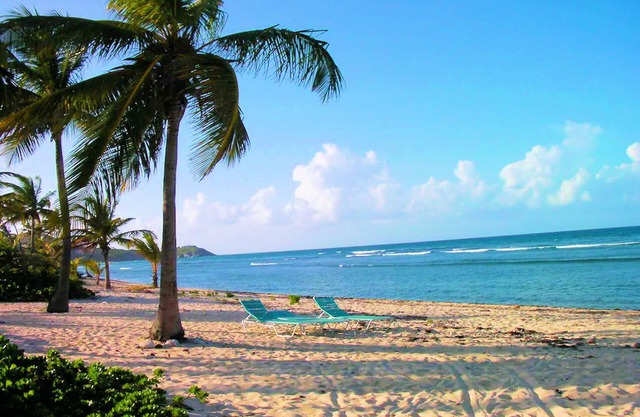 Caribbean Paradise