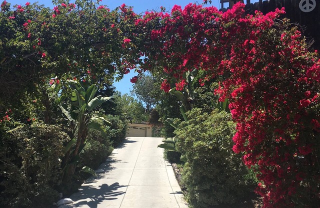 Carlsbad Belleza - Privacidad, cerca de la playa, Corta distancia de Hipódromo de Del Mar