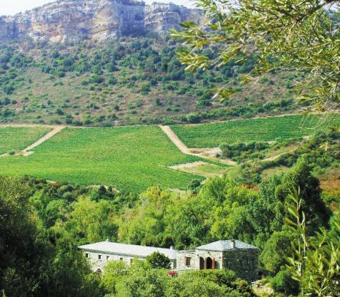 Casa-Albina-Corsica