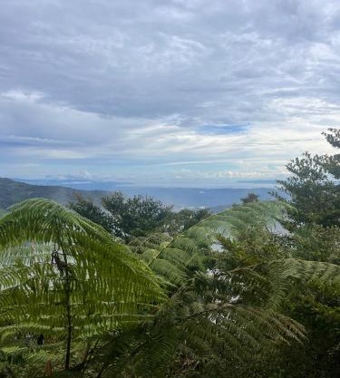 Casa Bromelia