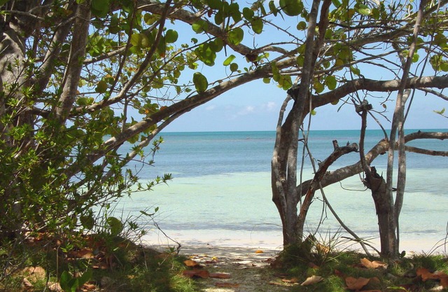 Cayo del Sol privado y acogedor apartamento de 3 dormitorios playa