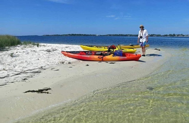 Cedar Key Fishing, Wildlife , BEACHES, PET FRIENDLY
