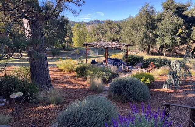 Algunos llaman a nuestra montaña a casa un parque, prado privado, HotTub, WiFi rápido, PolitePet