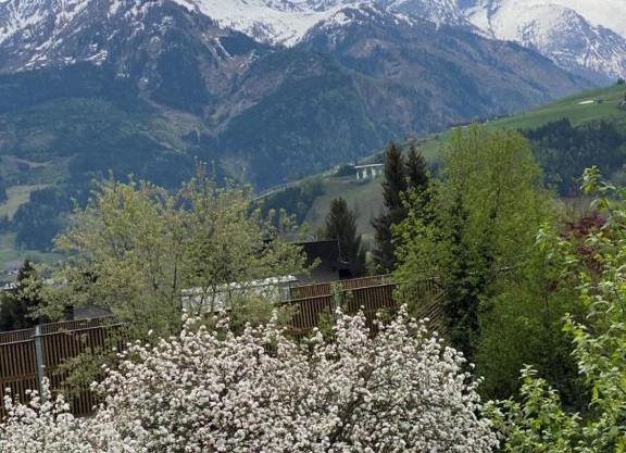 Chalet Fürth Four Seasons